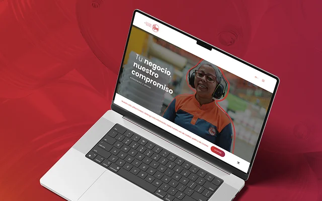 Rheem project — Chimpancé Digital
